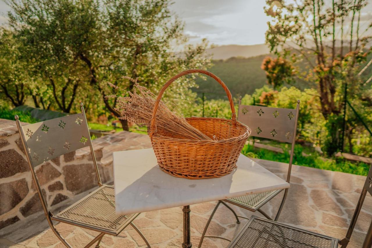 L'Otello B&B Pistoia Extérieur photo